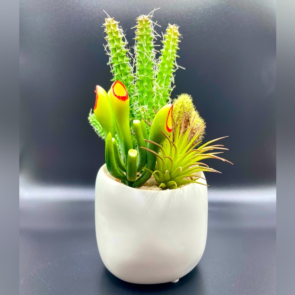 Artificial Succulent Potted Plant | 1 Piece